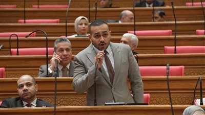 نائب يطالب وزير المالية بمد مبادرة دعم الصناعة لتشمل المواد الخام ومستلزمات الإنتاج