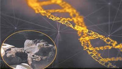 وزير التعليم العالي يعلن نتائج أكبر دراسة للجينوم المصري 