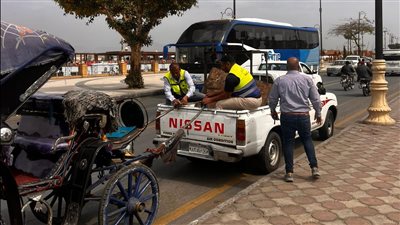 حملة موسعة لضبط عربات الحنطور غير المرخصة بشوارع مدينة الأقصر.. صور