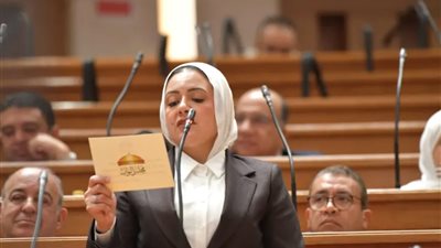 تحرك برلماني يطالب الحكومة بتقديم رد واضح حول إجراءاتها لوقف تدهور سعر الجنيه 