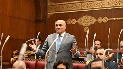 «برلماني»: مؤتمر «إيجبس» بات واحدًا من أبرز الفعاليات الدولية المتخصصة في قطاع الطاقة