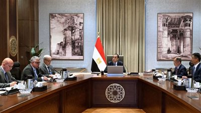 باستثمارات 2 مليار دولار.. مدبولي يبحث إنشاء أكبر مصنع ألومنيوم باقتصادية قناة السويس