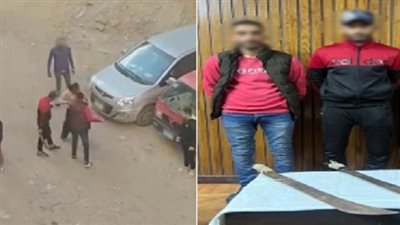 شقيقان يمزقان جسد عامل بالأسلحة البيضاء في الإسكندرية والأمن يضبط المتهمين