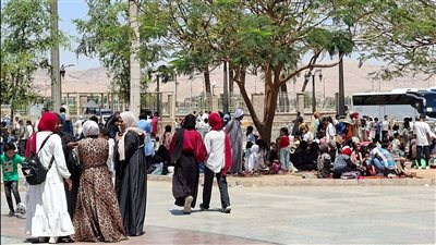 إقبال كبير على الحدائق والرحلات النيلية بالأقصر خلال احتفالات شم النسيم.. صور