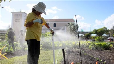 البستنة.. هواية الربيع التي تُحافظ على صحة عقلك وجسمك