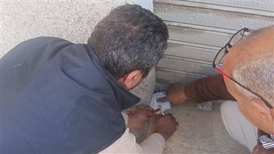 محافظ المنيا يشدد على تقنين أوضاع المحال العامة وتكثيف الحملات التفتيشية