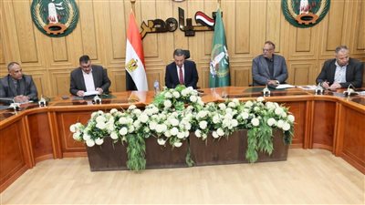 تشديد الرقابة على القمح.. قرار بتشكيل لجان متابعة يومية في المنوفية