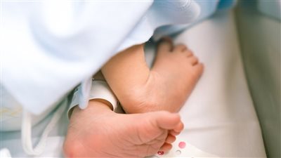 معدلات الخصوبة 