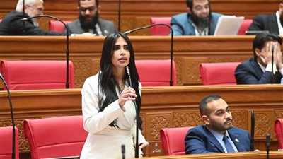 هايدي المغازي 