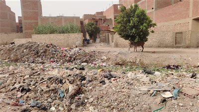 ملاءة حلوان.. أزمة بيئية وخدمية تهدد حياة مئات الآلاف جنوب القاهرة...صور