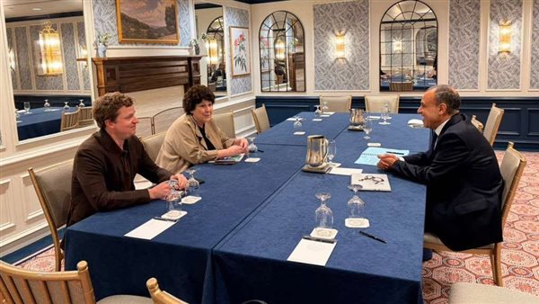 وزير الخارجية يستعرض رؤية مصر لتهدئة الشرق الأوسط