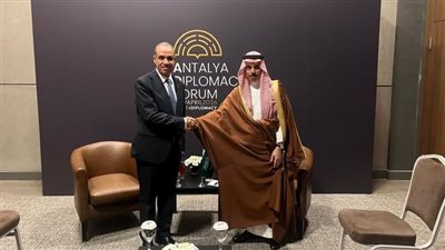 مشاورات مصرية سعودية على هامش منتدى أنطاليا الدبلوماسي