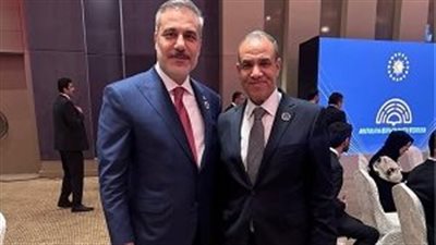 وزير الخارجية يقود تحركات لخفض التصعيد ويدعم مسار المفاوضات 