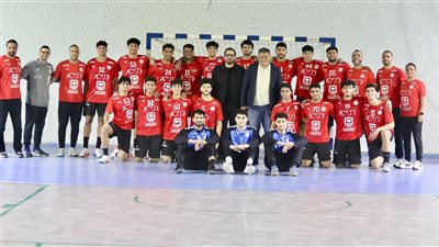 منتخب مصر ٢٠٠٨