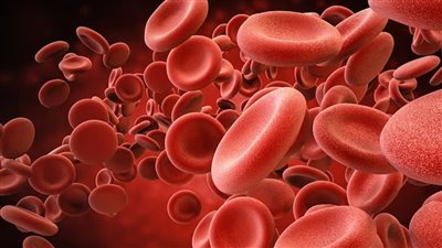كرات الدم الحمراء 