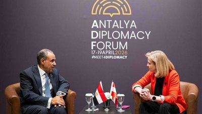 تفاصيل لقاء وزير الخارجية مع نظيرته النمساوية