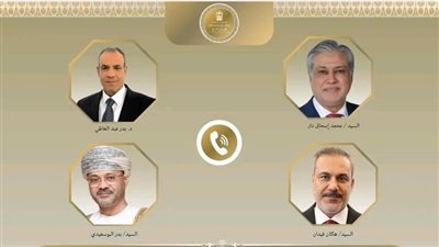 مصر تنسق مع عمان وباكستان وتركيا لدفع مفاوضات واشنطن وطهران