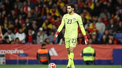 مصطفى شوبير