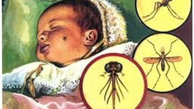 منظمة الصحة العالمية تعتمد أول علاج للملاريا للرضع 