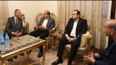 محافظ المنيا يطرح فرصًا استثمارية لإقامة مستشفيات ومراكز طبية بمغاغة ومطاي وديرمواس