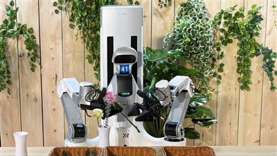 الروبوت الصيني