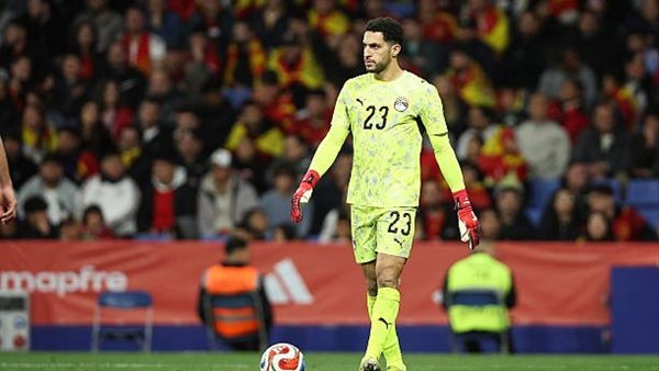 مصطفى شوبير