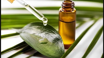 زيت شجرة الشاي 