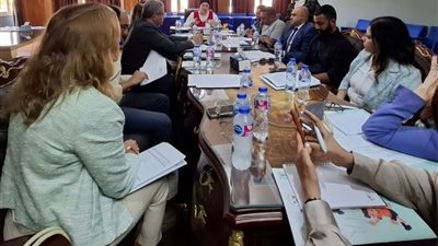 المجلس القومي للطفولة والأمومة