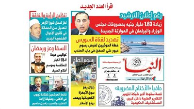 النبأ تكشف لغز تدخل شيخ الأزهر لتعديل سن الحضانة 