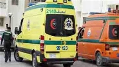 حادث مروع بسمالوط.. وفاة شاب في تصادم على الطريق الصحراوي