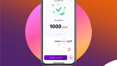 إنستاباي يحذر من الاحتيال الإلكتروني ويشدد على حماية بيانات المستخدمين