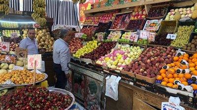 محافظ الدقهلية يتفقد المعرض الدائم للسلع الغذائية بحي شرق المنصورة