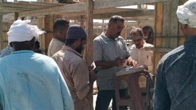 التقديم أونلاين.. منحة 4500 جنيه للعمالة غير المنتظمة تثير تساؤلات حول تكلفة الموازنة