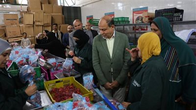 محافظ المنيا يتفقد محطة تعبئة فاكهة «البيهو» بقوة إنتاجية 40 طن يوميا 