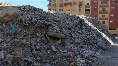 محافظ بورسعيد يوجه برفع المخلفات والرتش بعدد من المناطق بأبراج بروتكس