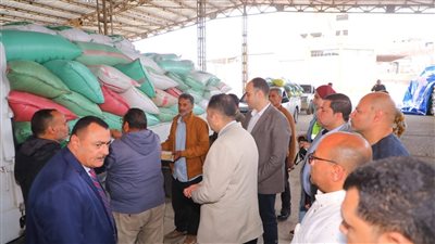 محافظ دمياط يتفقد شون السيالة والسنانية لمتابعة توريد القمح بالمحافظة