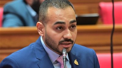 النائب أحمد ناصر