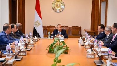 وزير الخارجية يلتقي ممثلي الشركات المصرية العاملة في إفريقيا لتعزيز النشاط الاقتصادي بالقارة