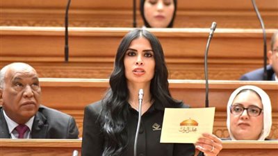 تحرك برلماني يطالب بتقييم نتائج مبادرة 