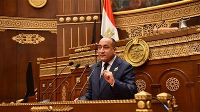 إسكان الشيوخ: التوسع في «الإيجار التمليكي» خطوة مهمة لدعم الشباب