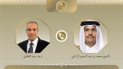 وزير الخارجية مع نظيره القطري