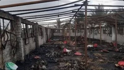 حريق هائل يلتهم مزرعة دواجن بقرية في الفيوم 