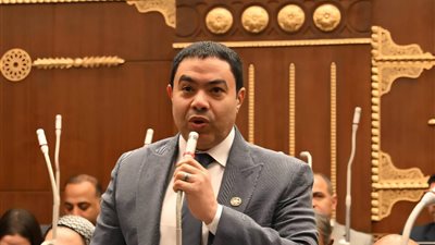 نائب يحذر من أزمات صرف الأسمدة ويطالب بخطة عاجلة لحماية الفلاحين خلال الموسم الصيفي