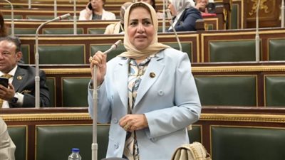 عضو بمجلس النواب: جامعة سنجور تعزز قوة مصر الناعمة في إفريقيا