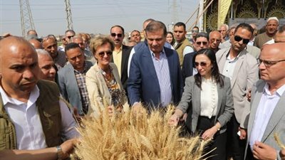 وزير الزراعة ومحافظ البحيرة يشهدان احتفالية ميكنة حصاد القمح بالمحافظة 