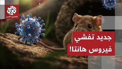 أوروبا تطلق استجابة صحية واسعة لاحتواء تفشي فيروس هانتا 