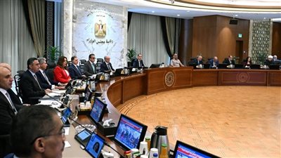 مجلس الوزراء يوافق على إنشاء الصندوق التكافلي لدعم الأسرة المصرية رسميا