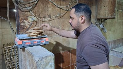 بالصور.. حملة موسعة على مخابز مراكز قطور والمحلة وزفتى وطنطا تحرر 44 محضرا
