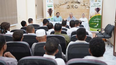 “بحوث الصحراء” يواصل دعم مربي الأغنام البرقي بسيوة ويُسلم 30 كبشًا محسّنًا 