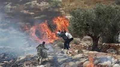 مستوطنون يحرقون أراضٍ فلسطينية في الخليل ورام الله وسط حماية القوات الإسرائيلية